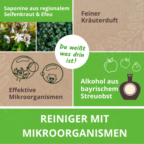 Saponine aus regionalem Seifenkraut und Efeu