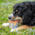 Schwazer Sam Futterkohle von EM Chiemgau für einen gesunden Darm bei Hunden und anderen Haustieren