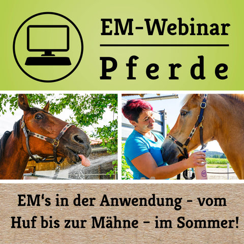 Kostenloses Pferde-Webinar - Sommerpflege mit EM am 25.07.2024