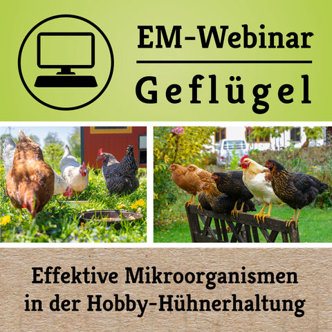 Kostenloses Webinar: EM in der Hobby-Hühnerhaltung am 20.03.2025