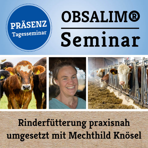 Obsalim Seminar mit Mechthild Knösel am 15.11.2024