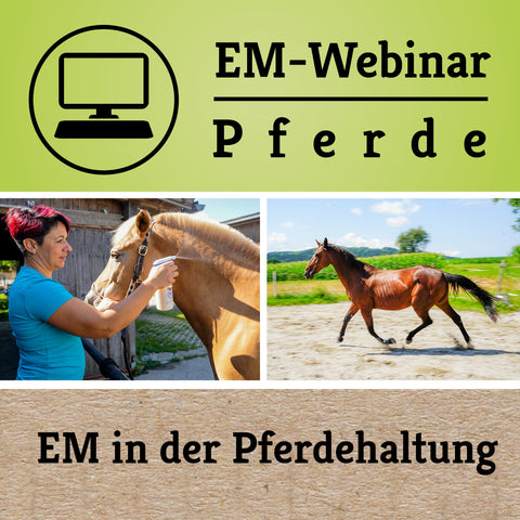 Kostenloses Webinar: EM bei Pferden am 20.02.2025