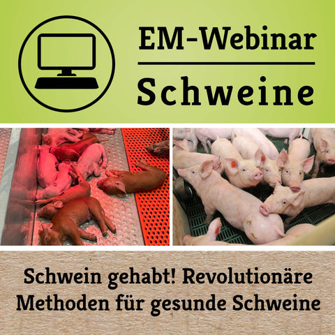 schweine webinar kostenlos em chiemgau