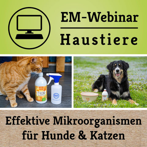 EM für Hunde & Katzen - Haustier-Webinar von EM-Chiemgau