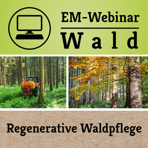 Kostenloses Webinar: Regenerative Waldpflege am 30.01.2025