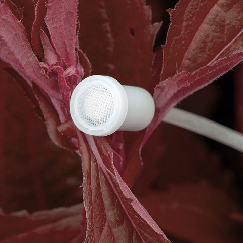 Birchmeier Sprühflasche Foxy Plus 360°