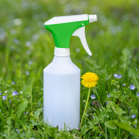 Durchsichtige 0,5-L-Sprühflasche mit Sprühkopf