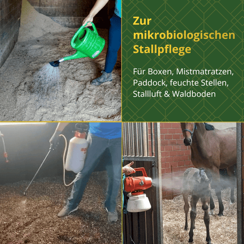 Stall-Balance für Boxen, Mistmatratzen, Paddock & Waldboden