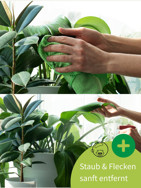 Lumis EM-Blattglanz Pflegespray