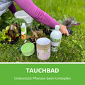 Tauchbad-Set unterstützt Pflanzen beim Umtopfen. 

