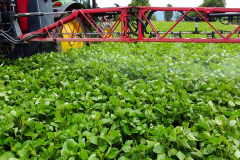 EM-basierte Pflanzenvitalität – Vitale Pflanzen durch probiotische Stärkung