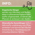 Zimba Informationen