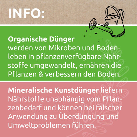Zimba Informationen