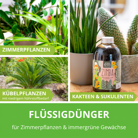 Zimba Flüssigdünger für Zimmerpflanzen und immergrüne Gewächse
