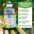 Mit Zimba Flüssigdünger organisch düngen.