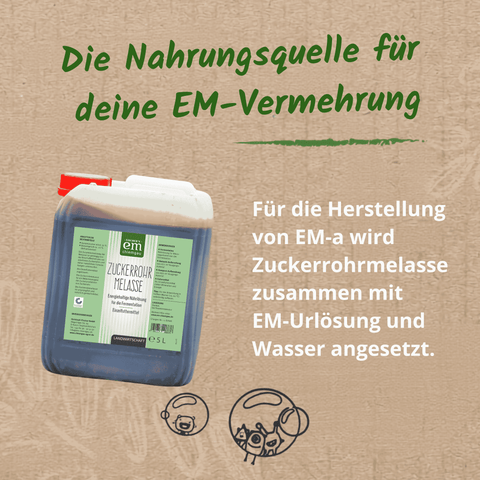Die Nahrungsquelle für deine EM-Vermehrung