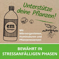 Mit Mikroorganismen, Huminsäuren und Pflanzenessenzen