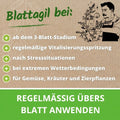Nutze Blattagil ab dem 3-Blatt-Stadium, regelmäßige Vitalisierungsspritzung, nach Stesssituationen und für Gemüse, Kräuter und Zierpflanzen