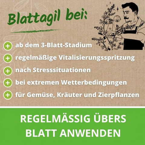 Nutze Blattagil ab dem 3-Blatt-Stadium, regelmäßige Vitalisierungsspritzung, nach Stesssituationen und für Gemüse, Kräuter und Zierpflanzen