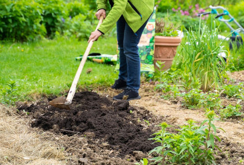 Beetvorbereitung mit Bokashi & Schafwolle