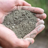 Diabosa (Diabas Boden Sand) erdfeucht und lose im Detail