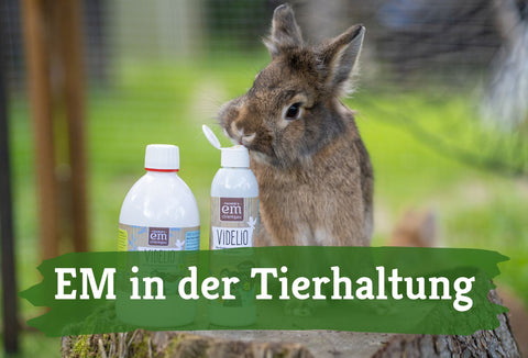 effektive mikroorganismen in der tierhaltung