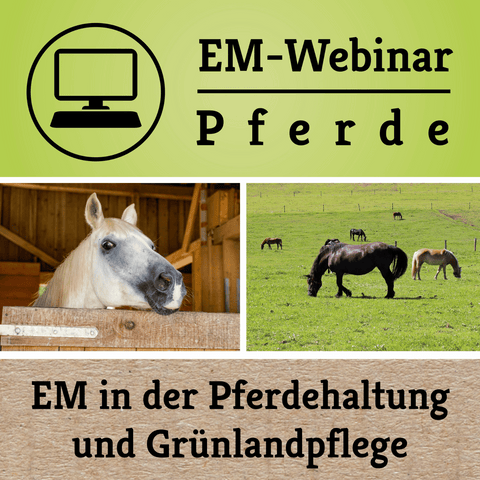 EM Pferde-Webinar am 21.03.2024 von EM-Chiemgau