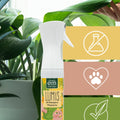 Lumis Blattglanzspray