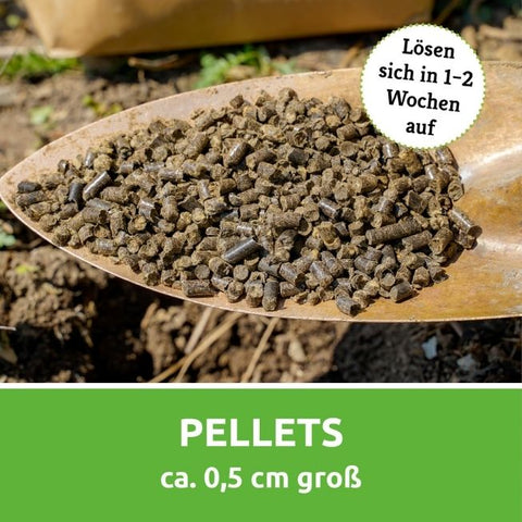 ca. 0,5 cm große Pellets