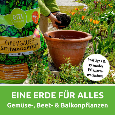 Chiemgauer Bio-Schwarzerde torffrei für Gemüse Beet Balkon Fischers EM-Chiemgau Terra Preta Erde