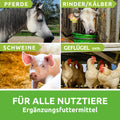 Karbofit-Futterkohle-Fischers-EM-Chiemgau-Nutztiere-Anwendung