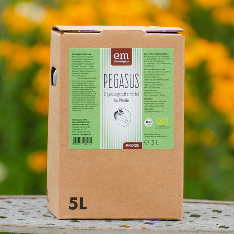 Pegasus Ergänzungsfuttermittel für Pferde im 5 Liter Bag in Box