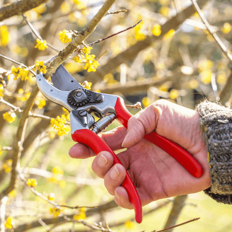 Felco No. 2 Baum- und Gartenschere - Praktische Einhand-Schere in schweizer Qualität