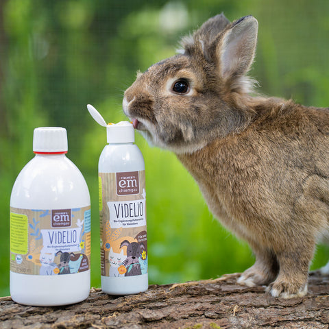 Videlio Bio-Futterergänzungsmittel für Hunde, Katzen und Kleintiere